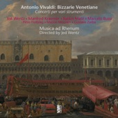 Concerto for Violin, Organ, Strings and Continuo in C Major, "Il rosignuolo", RV 335a: III. Allegro artwork