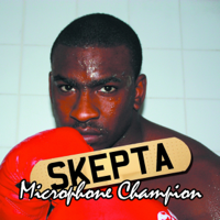 Skepta - Disguise (feat. Jme & Jammer) artwork