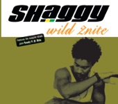 Shaggy & Olivia - Wild 2Nite