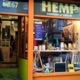 Dublin Hemp Museum Podcast