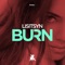 Burn - Lisitsyn lyrics