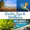 Exotic Spa & Wellness: Relaxation Sounds for Waiting Room, Beauty Treatments, Wellness Therapy Massage Music, Yoga & Meditation Background