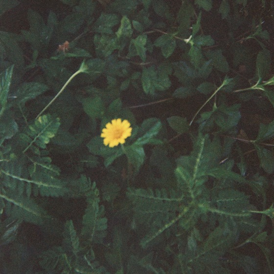 Cover artwork for As Long as It Takes You