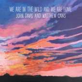 John Davis - We Are in the Wild and We Are Home