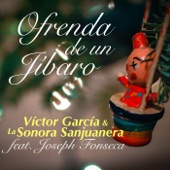 Ofrenda de un Jibaro (feat. Joseph Fonseca) artwork