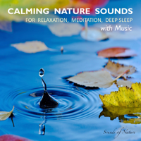 Yella A. Deeken - Calming Nature Sounds With Music: Sounds of Nature for Relaxation, Meditation, Deep Sleep artwork