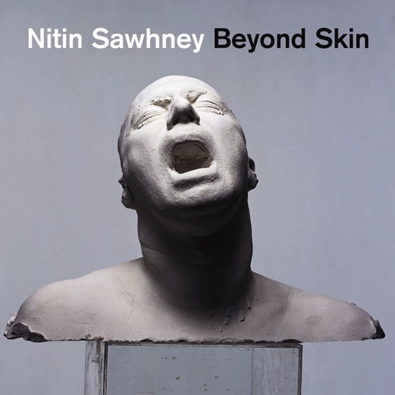 Cover artwork for Beyond Skin