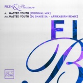 Filth & Pleasure - Wasted Youth (Original Mix)