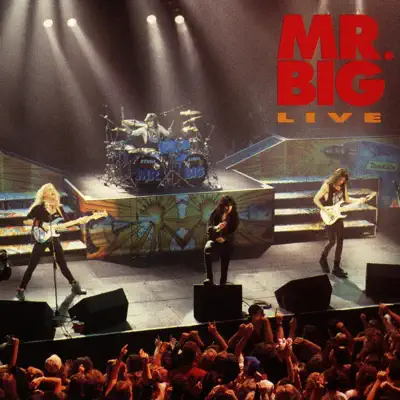 Mr. Big Live - Mr. Big