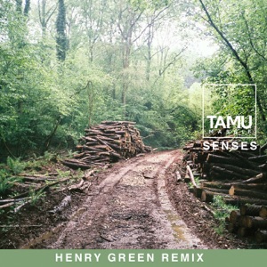 Senses (Henry Green Remix) - Single
