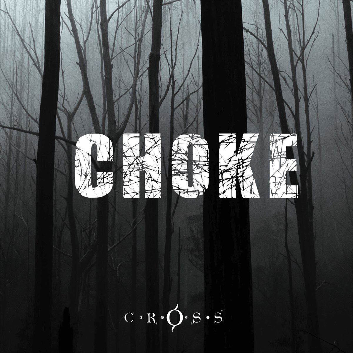 Cross music. Альбомы Choke. Рок группа the Choke.