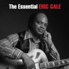 The Essential Eric Gale, 2017