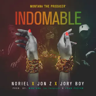 Indomable by Montana “The Producer”, Noriel, Jon Z & Jory Boy song reviws