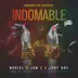 Indomable song reviews