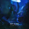 Not Alone - Single album lyrics, reviews, download