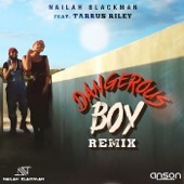 Dangerous Boy (feat. Tarrus Riley) [Remix] artwork