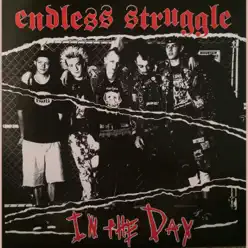 In the Day - Endless Struggle