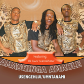 Wavik'ikhanda - Amashinga Amahle