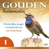 Gouden Koormomenten (Volume 1) artwork