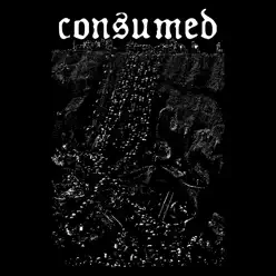 Consumed - Consumed Consumed - Consumed