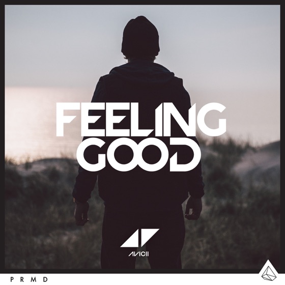 Cover artwork for Feeling Good