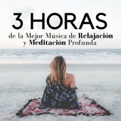 3 Horas de la Mejor Música de Relajación y Meditación Profunda - Música de Fondo Ideal para Relajarse, Masajes y la Práctica del Yoga, Tai Chi, Reiki o Pilates artwork