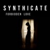 Forbidden Love - Single