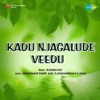 Kadu Njagalude Veedu (Original Motion Picture Soundtrack) - Single