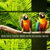 Exotic Nature Kingdom - Magic Jungle