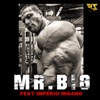 Mr. Big (feat. Império Insano) - Single