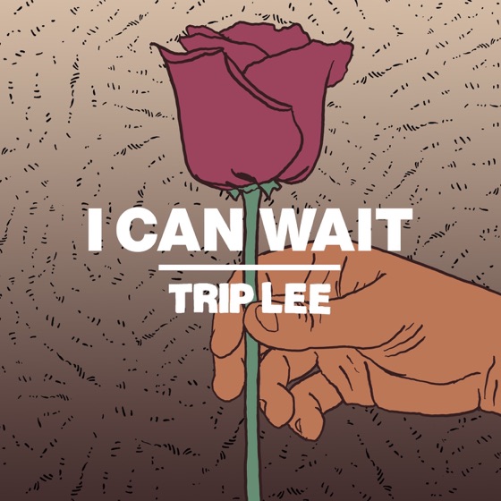 Cover artwork for I Can Wait
