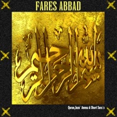 Al Insan (feat. Sheikh Fares Abbad) artwork