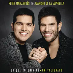 Lo Que Tú Querías, Un Vallenato (feat. Juancho de la Espriella) - Peter Manjarres