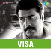 Visa Visa Visa artwork