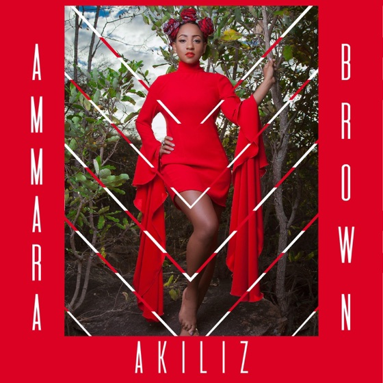 Cover artwork for Akiliz