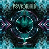 Psykorigid 2 - Compiled by DJ Psykelo