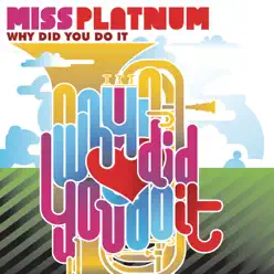 Why Did You Do It - Single - Miss Platnum Why Did You Do It - Single - Miss Platnum