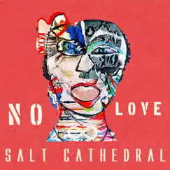 No Love - Single by Salt Cathedral album reviews, ratings, credits