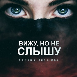 Tanir Вижу, но не слышу (feat. The Limba)