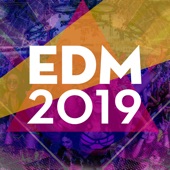 EDM 2019 artwork