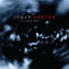 Vortex (feat. David Torn)