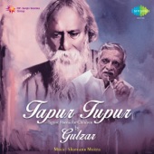 Tapur Tupur - Tagore Poems for Children by Gulzar artwork