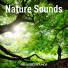Nature Sounds - Nature Sounds