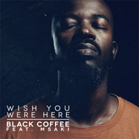 Black Coffee - Wish You Were Here (feat. Msaki) artwork