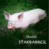 Studio Stakbabber - Garlic Fantasy