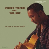 Muddy Waters Sings "Big Bill" artwork