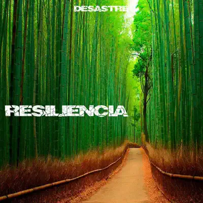 Resiliencia - Desastre