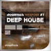 Downtech Weapons # 1: Deep House, 2017