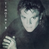 Timothy B. Schmit - Boys Night Out