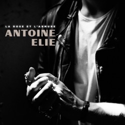 Antoine Elie - La rose et l'armure